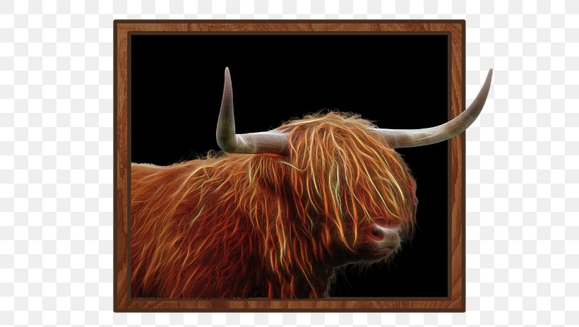 Texas Longhorn Highland Cattle English Longhorn Ox Bull, PNG, 600x463px, Texas Longhorn, Art, Art Museum, Bull, Canvas Download Free