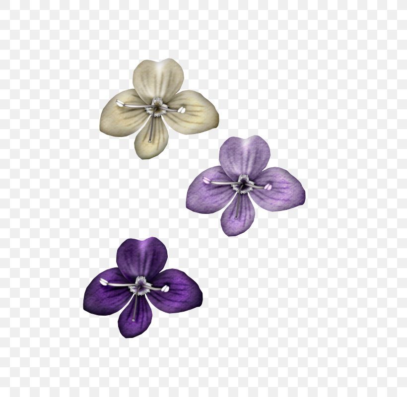 Violet Petal Purple Lossless Compression, PNG, 600x800px, Violet, Amethyst, Body Jewelry, Data Compression, Flower Download Free