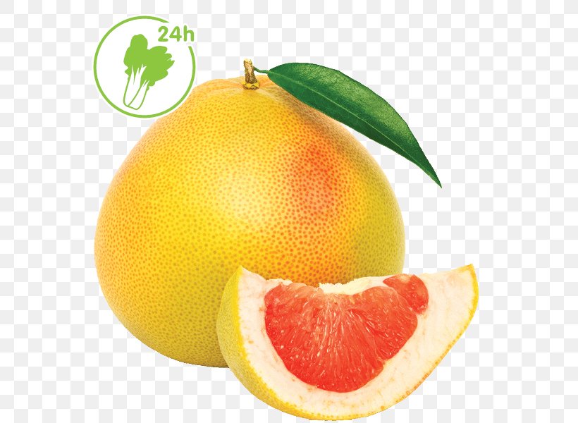 Blood Orange Pomelo Citrus Junos Grapefruit Lemon, PNG, 600x600px, Blood Orange, Bitter Orange, Citric Acid, Citron, Citrus Download Free