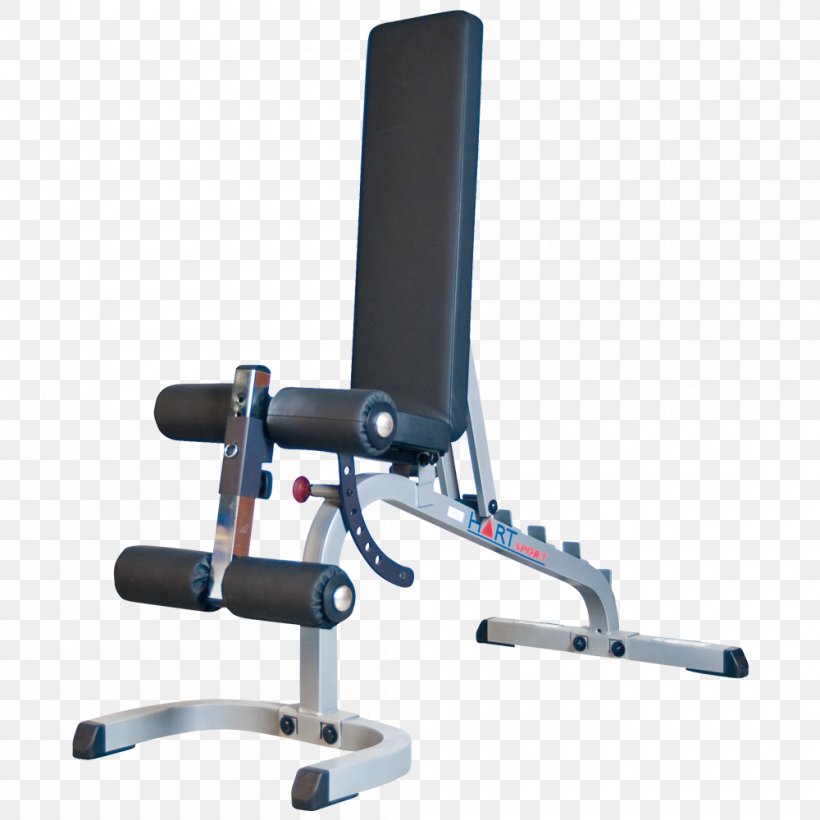 Fitness Centre Dumbbell Bench Weight Training Sport, PNG, 1000x1000px, Fitness Centre, Apartment, Bench, Dumbbell, Exercise Equipment Download Free