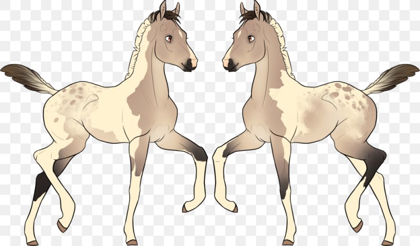 Foal Colt Stallion Mustang Mane, PNG, 1024x600px, Foal, Animal, Animal Figure, Character, Colt Download Free