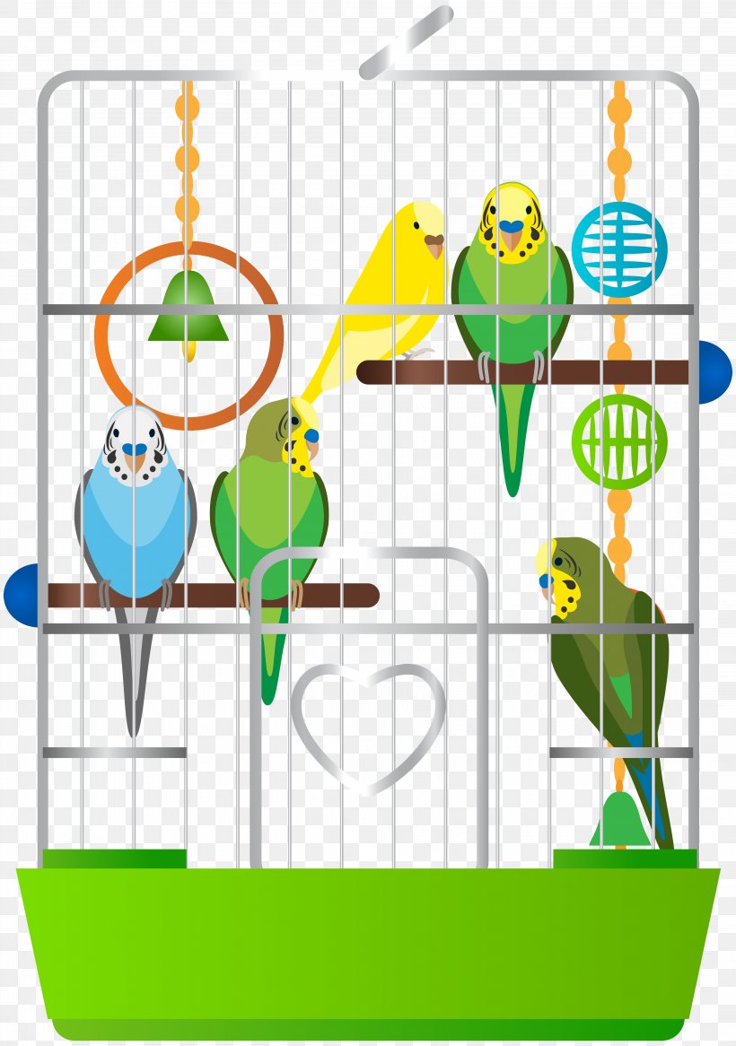 Parrot Guinea Pig Pet Parakeet Clip Art, PNG, 4219x6000px, Parrot, Area, Beak, Bird, Bird Supply Download Free