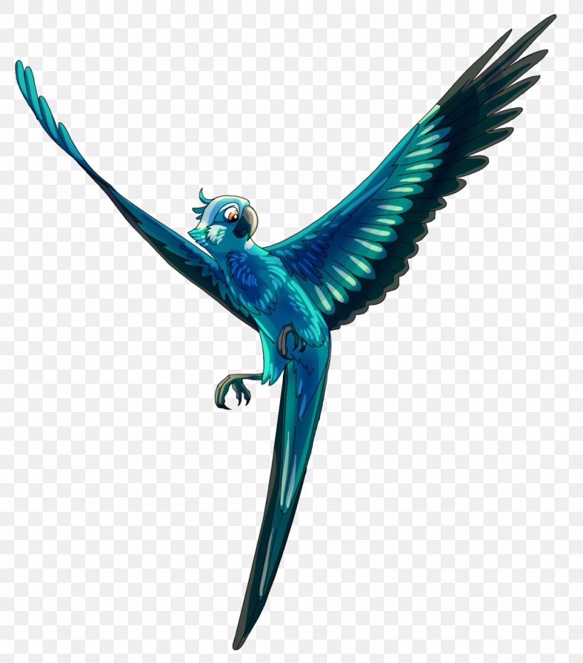 Spix's Macaw Parrot Blu Jewel, PNG, 1024x1166px, Macaw, Beak, Bird, Blu, Drawing Download Free