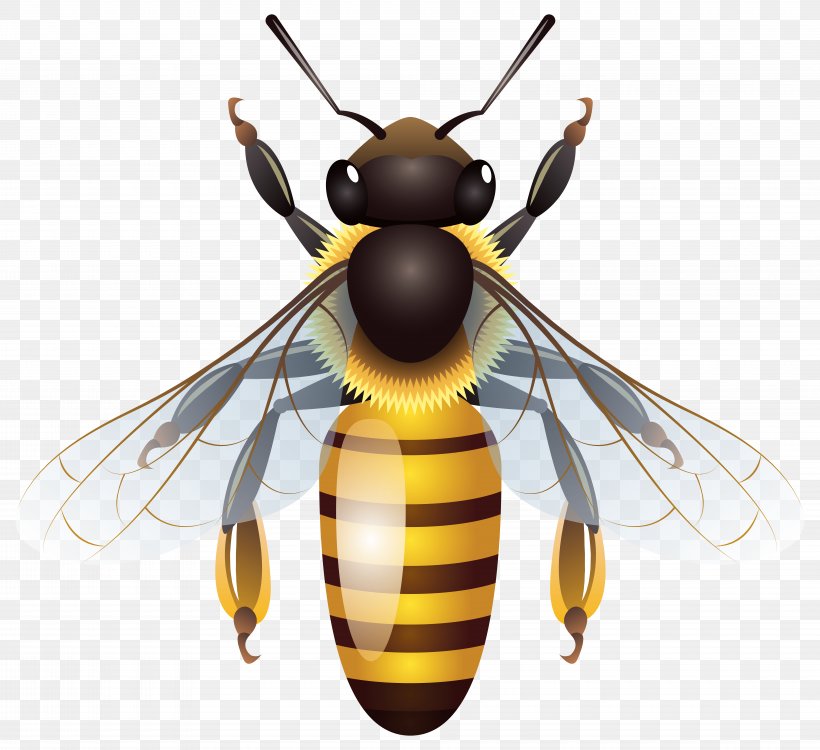 Honey Bee Insect Clip Art, PNG, 8000x7323px, Bee, Ant, Arthropod, Bee Sting, Beehive Download Free