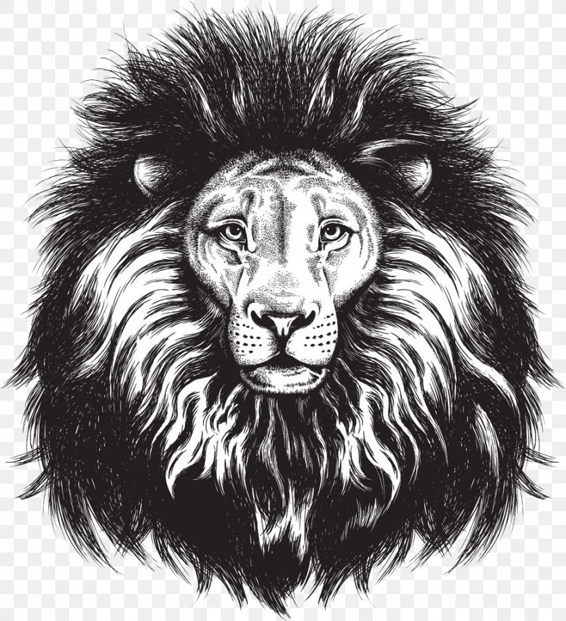 Lionhead Rabbit Lions Head Leopard, PNG, 912x1000px, Lionhead Rabbit, Big Cats, Black And White, Carnivoran, Cat Like Mammal Download Free