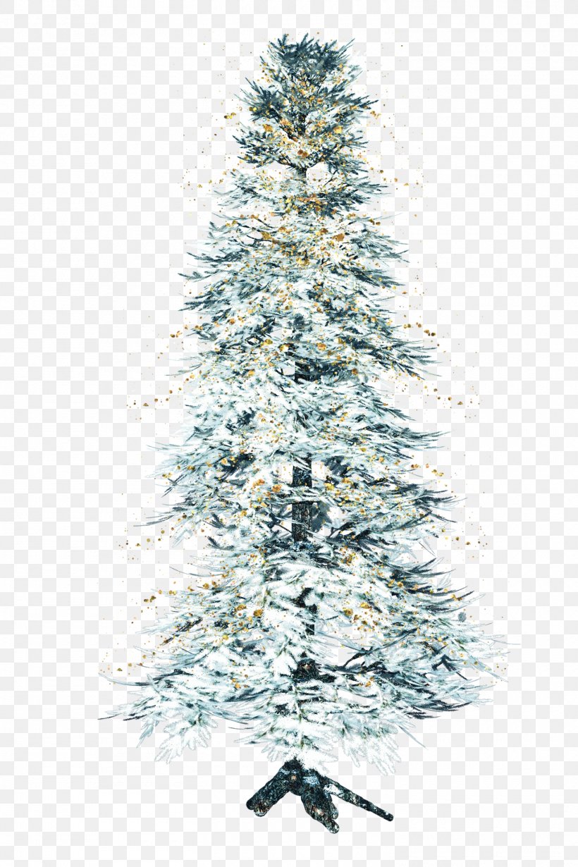 Tree Pine Conifers, PNG, 1500x2250px, Tree, Christmas Decoration, Christmas Ornament, Christmas Tree, Conifer Download Free