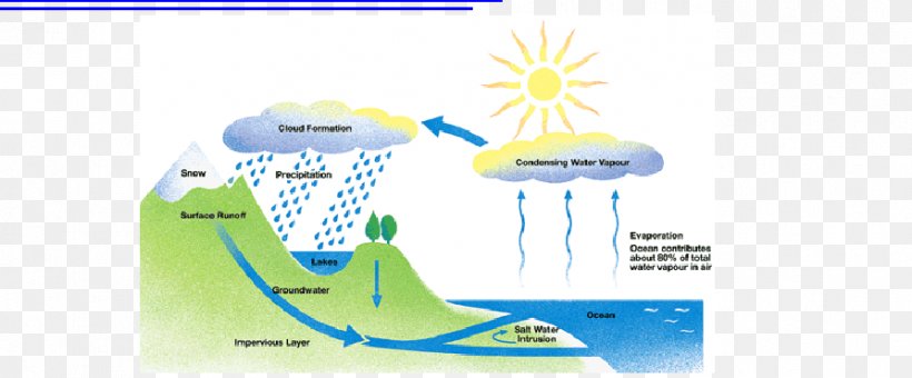 Water Cycle Fifth Grade Condensation Process, PNG, 893x371px, Water Cycle, Atmosphere Of Earth, Brand, Condensation, Diagram Download Free