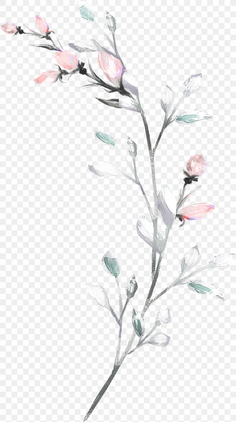 Watercolor Flower Background, PNG, 1291x2307px, Watercolor Painting, Blossom, Branch, Drawing, Flower Download Free