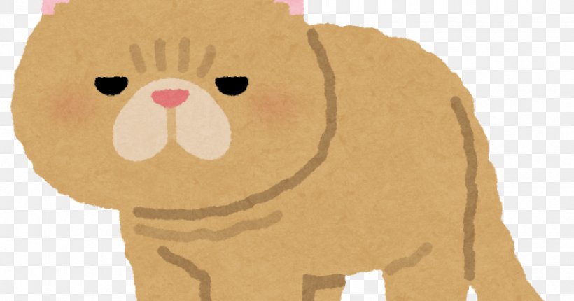 Whiskers Exotic Shorthair Illustration ペンギン・ハイウェイ Dog, PNG, 886x465px, Whiskers, Big Cats, Carnivoran, Cartoon, Cat Download Free