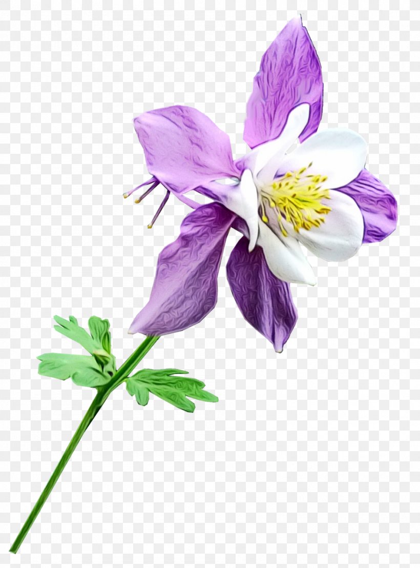 Blue Watercolor Flowers, PNG, 947x1280px, Watercolor, Anemone, Colorado Blue Columbine, Columbine, Cut Flowers Download Free