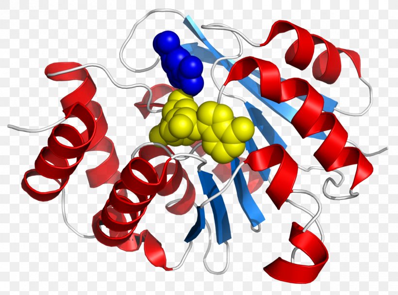 Catechol-O-methyltransferase Entacapone, PNG, 1200x890px, Catecholomethyltransferase, Catechol, Catecholamine, Comt Inhibitor, Dopamine Download Free