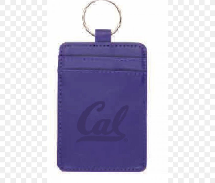 Key Chains Rectangle, PNG, 700x700px, Key Chains, Keychain, Purple, Rectangle, Violet Download Free