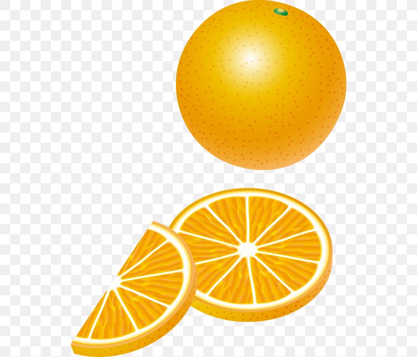 Lemon Orange Auglis, PNG, 542x701px, Lemon, App Store, Artworks, Auglis, Citric Acid Download Free