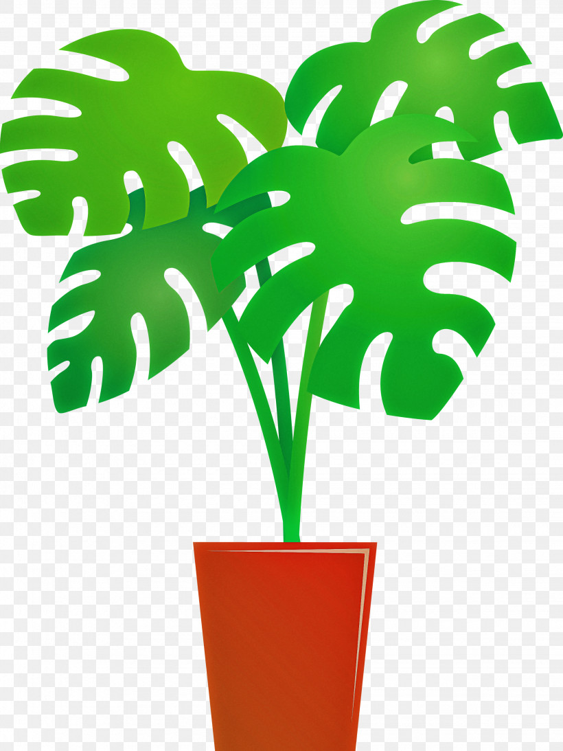 Monstera Tropical Leaf, PNG, 2250x3000px, Monstera, Branch, Flower, Flowerpot, Garden Roses Download Free