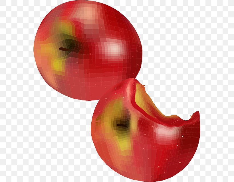 Apple Accessory Fruit, PNG, 585x640px, Apple, Accessory Fruit, Food, Fruit, Plant Download Free
