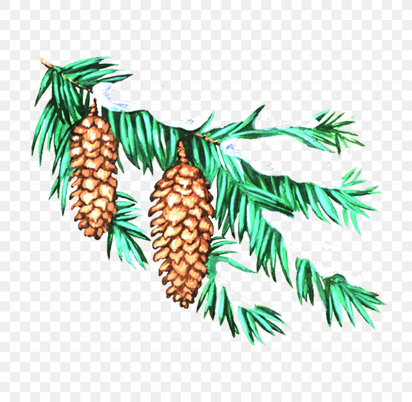 Embroidery New Year Tree Cross-stitch Christmas Clip Art, PNG, 800x800px, Embroidery, Branch, Christmas, Christmas Ornament, Conifer Download Free