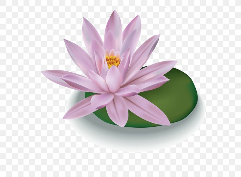 Stock Photography Royalty-free Illustration, PNG, 600x600px, Stock Photography, Aquatic Plant, Can Stock Photo, Drawing, Flower Download Free