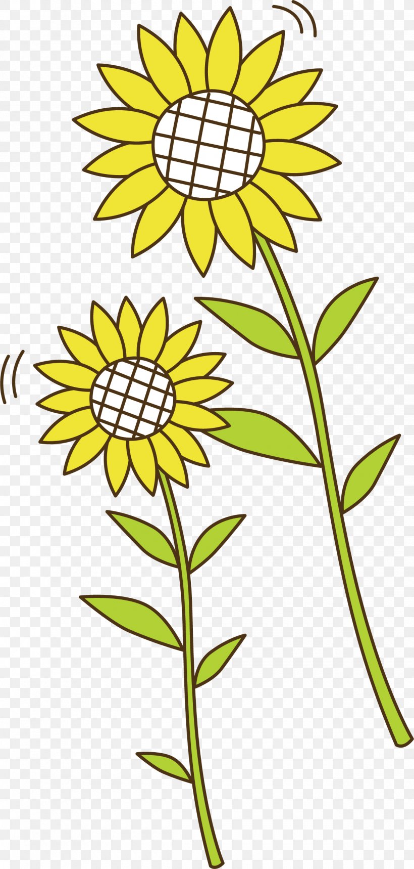 Common Sunflower Euclidean Vector Clip Art, PNG, 1260x2641px, Common Sunflower, Artwork, Black And White, Cut Flowers, Daisy Download Free