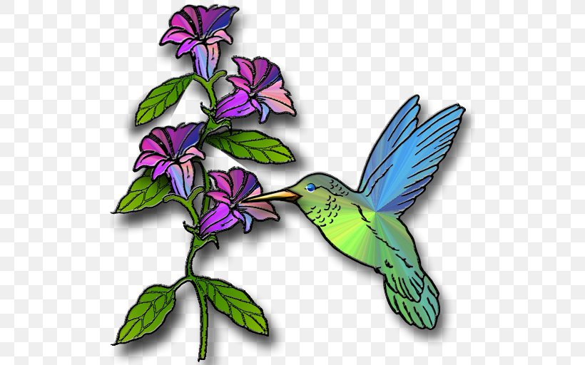 Hummingbird Free Content Clip Art, PNG, 512x512px, Hummingbird, Beak, Bird, Blog, Branch Download Free