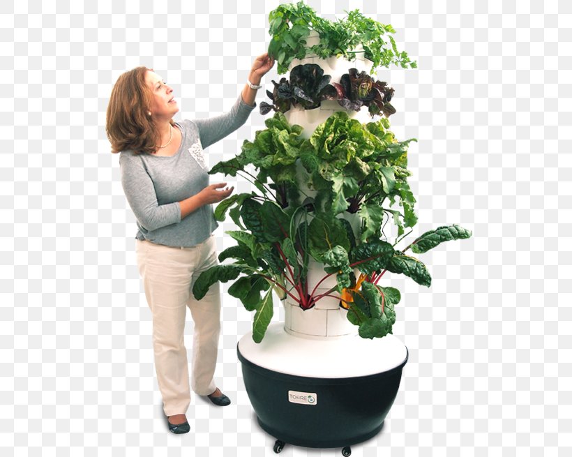 Hydroponics Houseplant Flowerpot Cultivo Aeroponics, PNG, 655x655px, Hydroponics, Aeroponics, Catalog, Crop, Cultivar Download Free