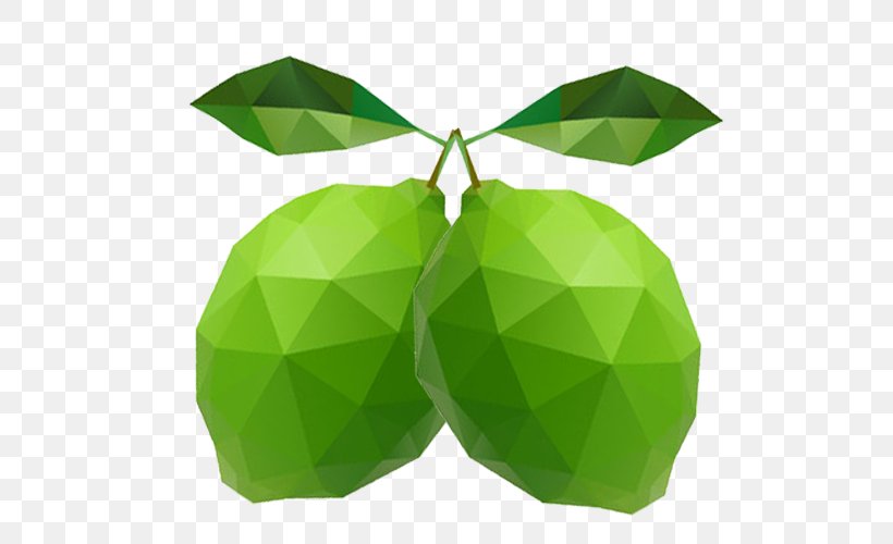 Leaf, PNG, 600x500px, Leaf, Green, Plant Download Free