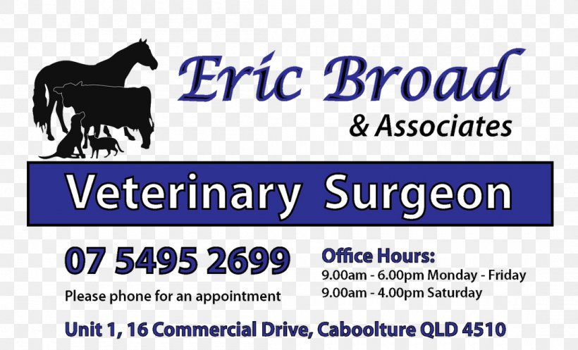 Bull Terrier Veterinary Surgery Veterinarian Eric Broad & Associates Veterinary Surgeon, PNG, 1100x667px, Bull Terrier, Advertising, Animal, Area, Australia Download Free