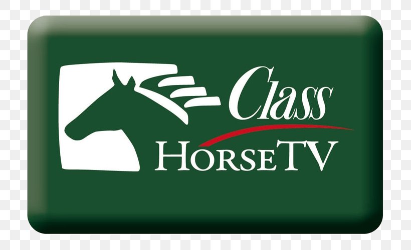 ClassHorseTV Icelandic Horse Television Channel Sky Sport, PNG, 800x500px, Icelandic Horse, Brand, Broadcasting, Grass, Green Download Free