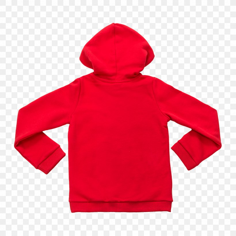 Hoodie T-shirt Bluza Clothing Jumper, PNG, 1600x1600px, Hoodie, Bluza, Clothing, Hood, Jacket Download Free