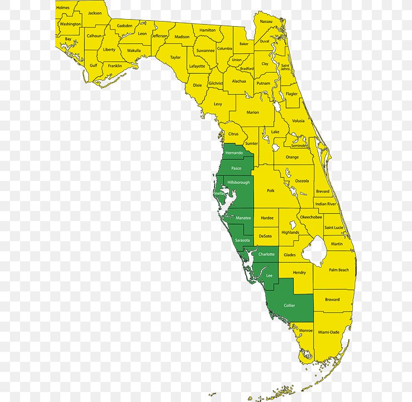 Lee County Collier County, Florida Charlotte County, Florida Pinellas County Magee Sign Services Inc, PNG, 600x800px, Lee County, Area, Area Code 239, Charlotte County Florida, Collier County Florida Download Free
