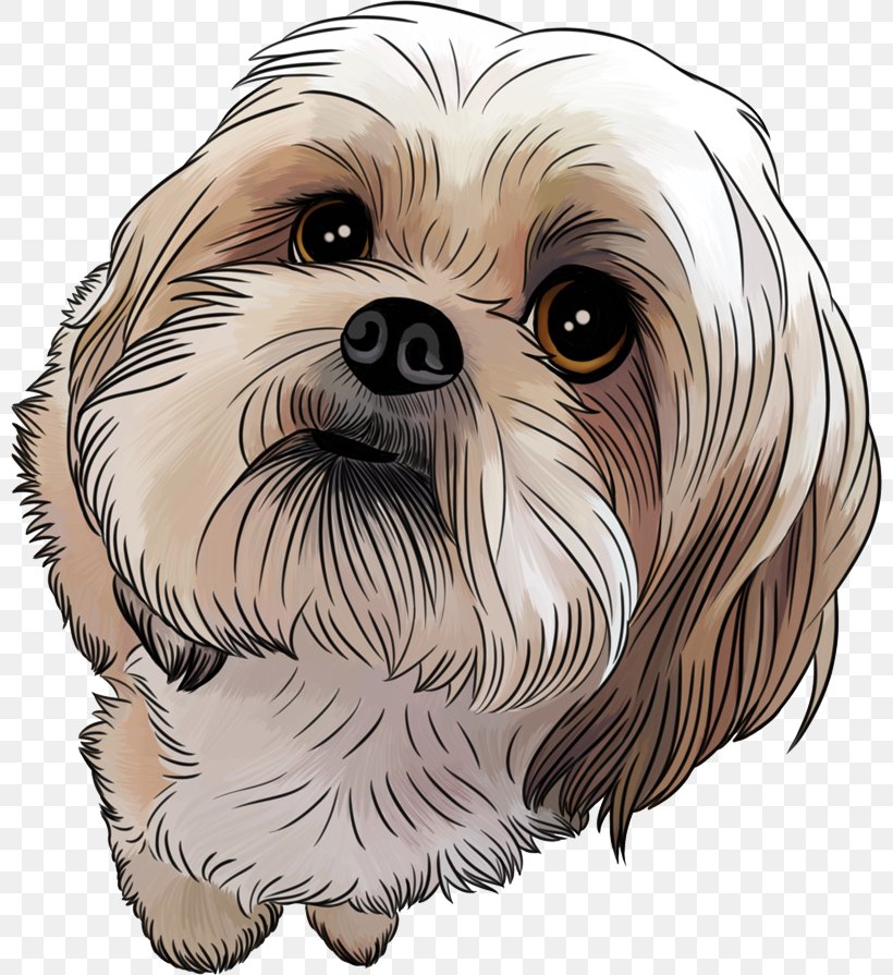 Shih Tzu Puppy Maltese Dog Poodle Pekingese, PNG, 800x895px, Shih Tzu, Bark, Carnivoran, Cartoon, Companion Dog Download Free