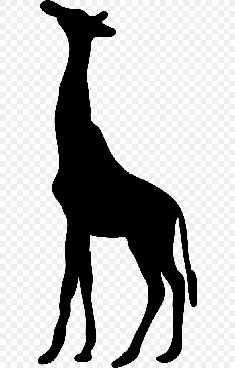 Wall Decal Sticker Okapi Clip Art, PNG, 640x1280px, Decal, Black And White, Decorative Arts, Deer, Dog Like Mammal Download Free