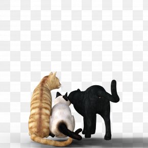 Cat Back - Cat Kitten Dog Pet PNG