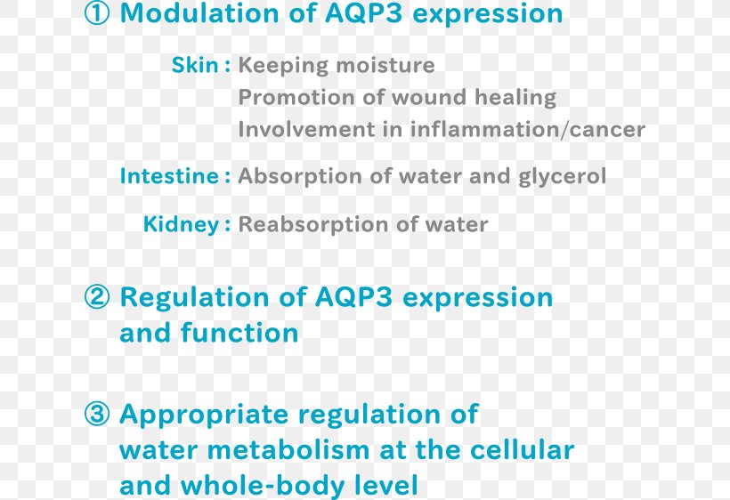 Document Line Organism Angle Brand, PNG, 630x562px, Document, Aqua, Area, Blue, Brand Download Free