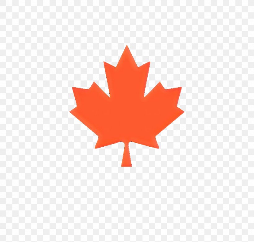 Horwath Consultants Flag Of Canada Stock Photography Vector Graphics, PNG, 918x876px, Flag Of Canada, Canada, Flag, Flag Of Costa Rica, Leaf Download Free