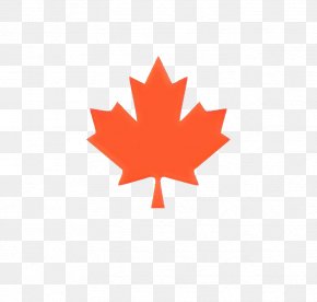 Horwath Consultants Flag Of Canada Stock Photography Vector Graphics PNG