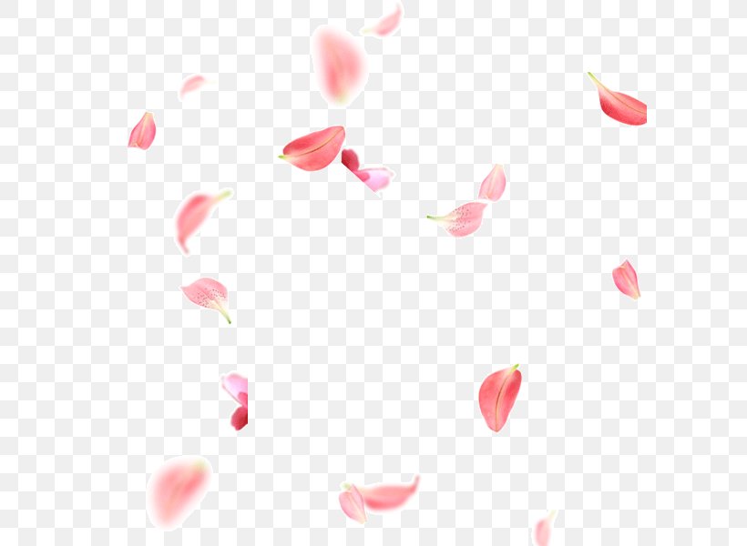 Petal Pink Flower, PNG, 600x600px, Petal, Beauty, Blossom, Close Up, Deviantart Download Free