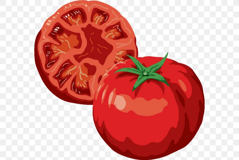 Plum Tomato Pizza Vegetable Italian Cuisine, PNG, 585x550px, Tomato, Basil, Bush Tomato, Cucumber, Diet Food Download Free