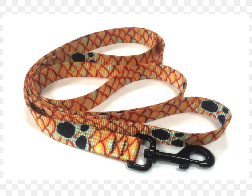 Bracelet Leash Dog Collar, PNG, 800x640px, Bracelet, Collar, Dog, Dog Collar, Fashion Accessory Download Free