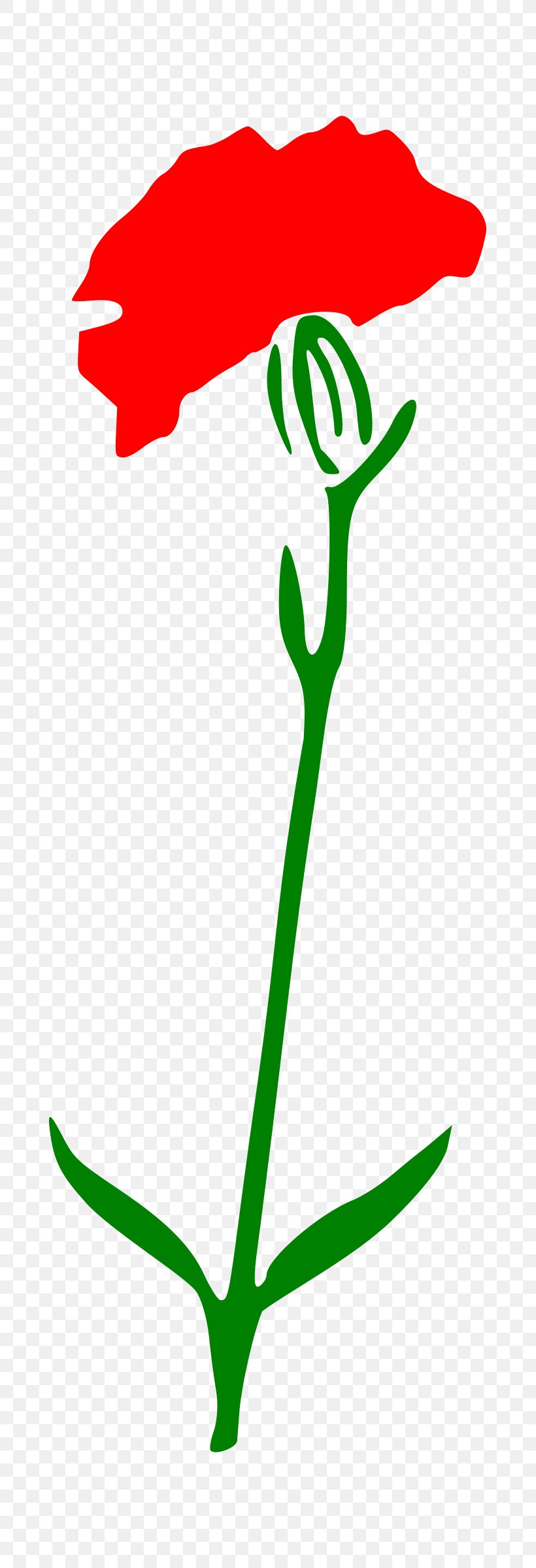 Carnation Cut Flowers Cartoon, PNG, 785x2400px, Carnation, Animation, Area, Artwork, Cartoon Download Free