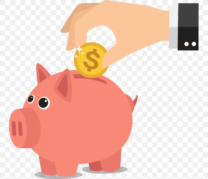 pig finance