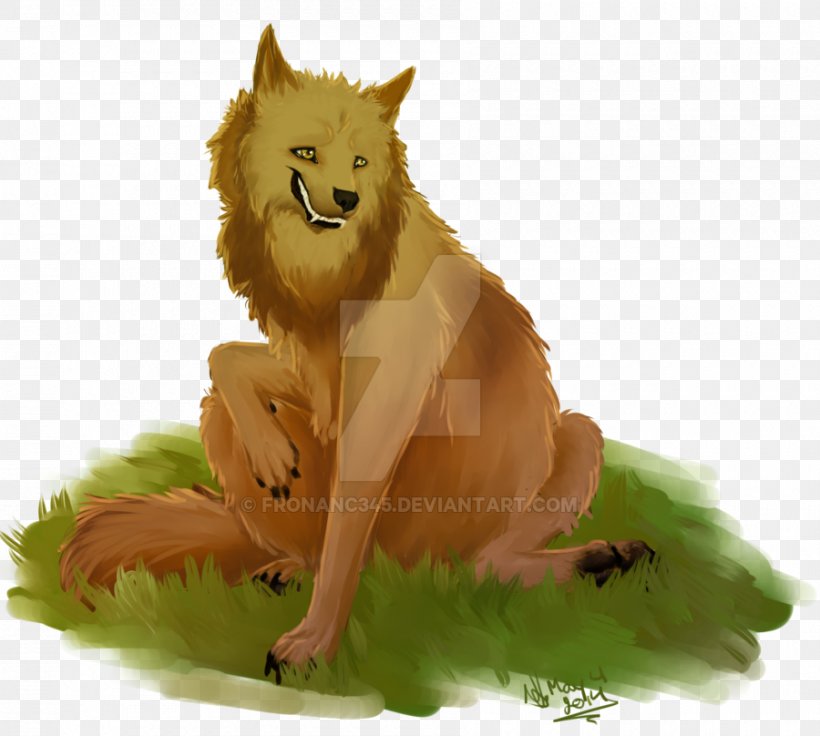 Pomeranian Red Fox Fur Snout, PNG, 900x808px, Pomeranian, Carnivoran, Dog, Dog Like Mammal, Fauna Download Free