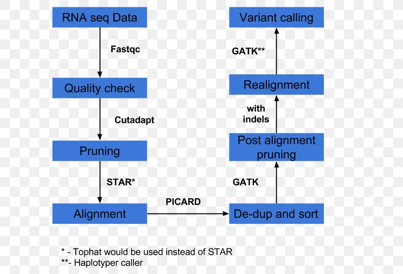 RNA-Seq Transcriptome Sequencing TopHat, PNG, 640x557px, Rnaseq, Area, Blue, Computer, Coverage Download Free