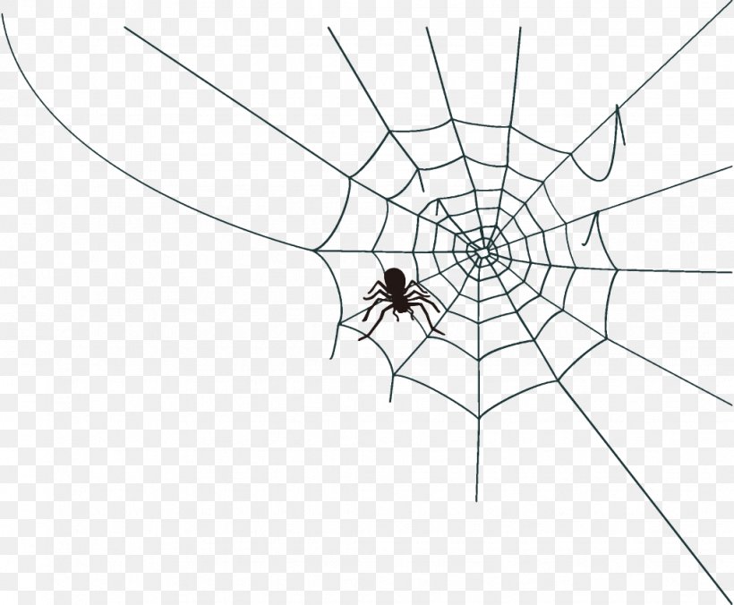 Spider Web Halloween, PNG, 1028x848px, Spider Web, Blackandwhite, Diagram, Halloween, Harvestmen Download Free