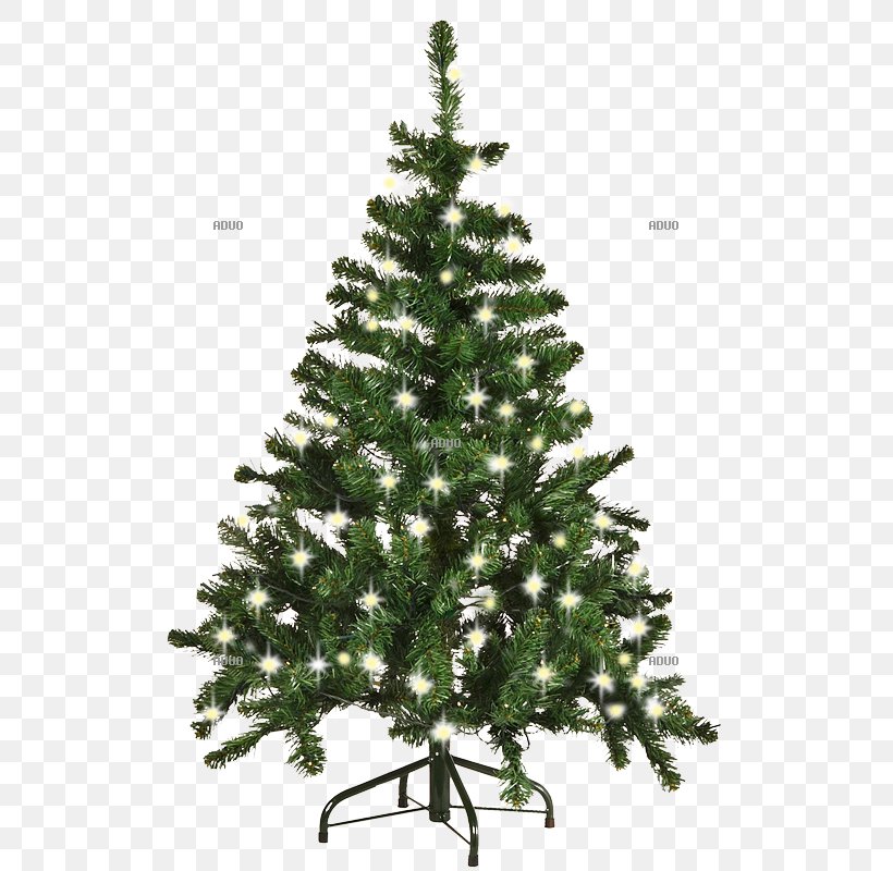 Christmas Tree Spruce Christmas Ornament Fir Pine, PNG, 800x800px, Christmas Tree, Christmas, Christmas Decoration, Christmas Ornament, Conifer Download Free