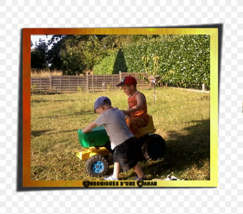 Leisure Recreation Picture Frames Play Tree, PNG, 1600x1412px, Leisure, Child, Friendship, Fun, Google Play Download Free