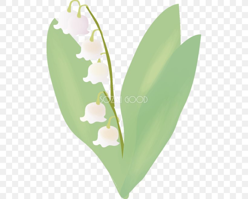 Lily Of The Valley Grass Poster, PNG, 511x660px, Lily Of The Valley, Closeup, Flower, Grass, Green Download Free