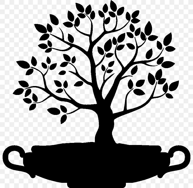 Branch Silhouette Clip Art, PNG, 800x800px, Branch, Art, Black And White, Drawing, Flora Download Free
