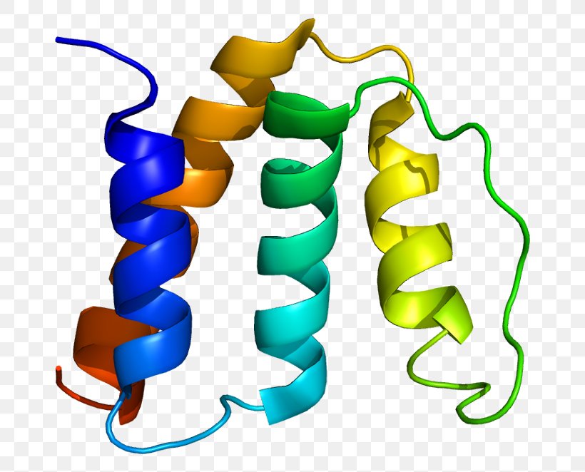Diazepam Binding Inhibitor Acyl-CoA-binding Protein Amino Acid, PNG, 716x662px, Watercolor, Cartoon, Flower, Frame, Heart Download Free