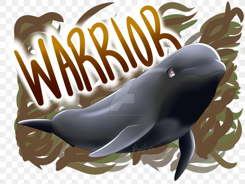 Dolphin Short-finned Pilot Whale Cetacea Killer Whale Long-finned Pilot Whale, PNG, 1600x1200px, Dolphin, Animal, Beak, Blue Whale, Cetacea Download Free