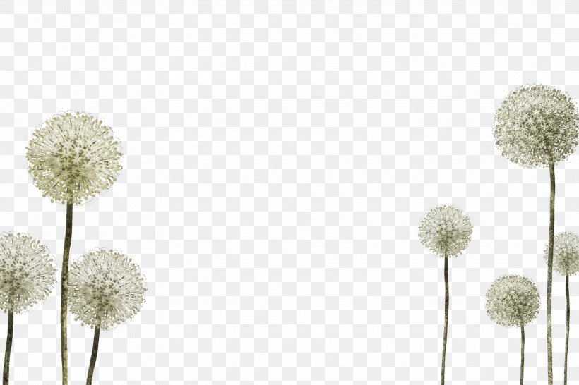 Download, PNG, 3543x2362px, Dandelion, Flower, Petal, Resource, Search Engine Download Free